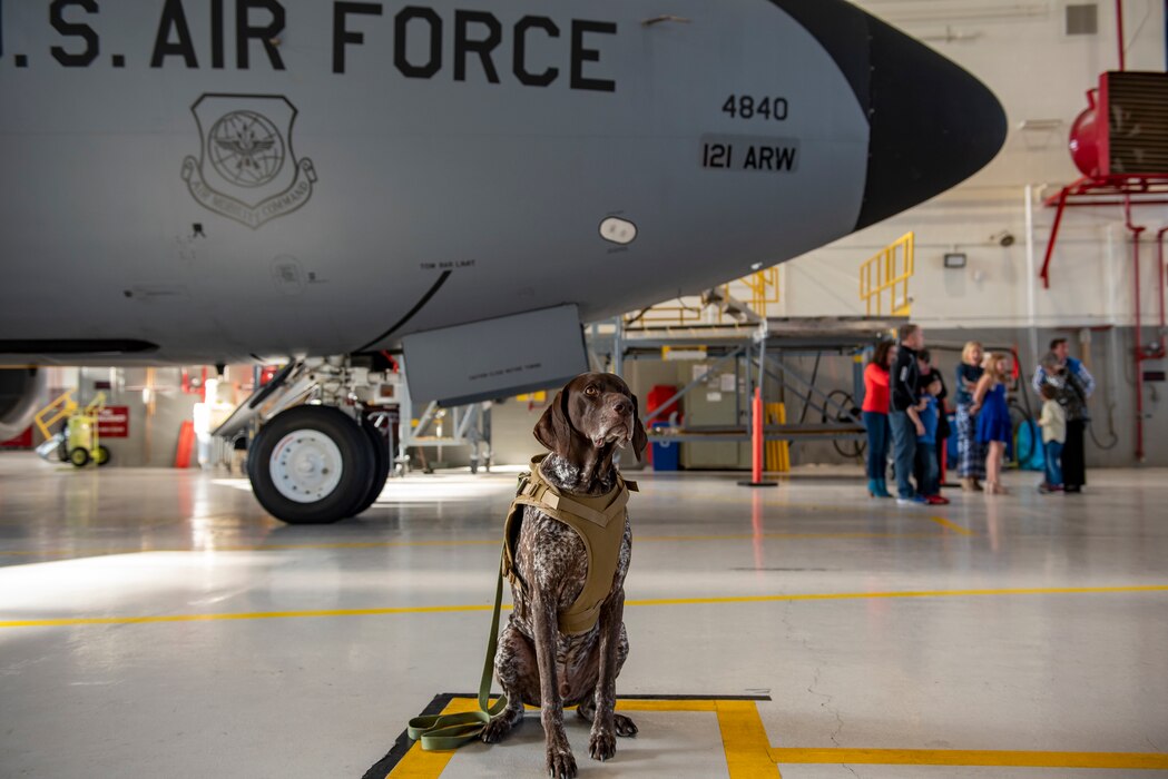 Murphy, a therapy dog with 121st Air Refueling Wing Director of Psychological Health office, greets Airmen and their families after a Change of Command ceremony at Rickenbacker Air National Guard Base, Ohio, Nov. 5, 2023. Murphy’s role with the DPH is to bring joy to Airmen and their families and to help encourage conversations with the resiliency team.