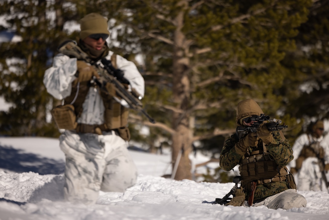 U.S. Marines with 2d Battalion, 8th Marine Regiment, 2d Marine Division conduct contact drills during Mountain Warfare Training Exercise 2-23 on Marine Corps Mountain Warfare Training Center, Bridgeport, California, Jan. 28, 2023. MTX prepares units to survive and conduct extended operations in mountainous terrain during the winter. (U.S. Marine Corps photo by Lance Cpl. Ryan Ramsammy)