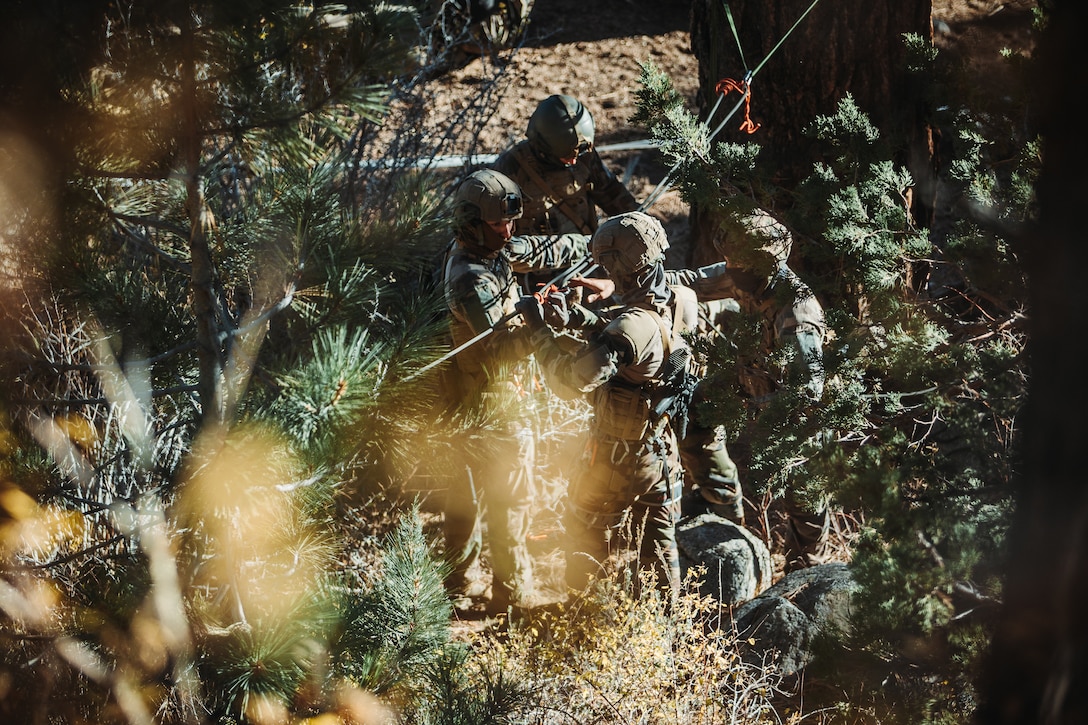 French Foreign Legion soldiers with the French 27th Mountain Infantry Brigade, assemble a rope lane during a simulated cliff assault as part of Mountain Exercise 1-24 at Marine Corps Mountain Warfare Training Center, Bridgeport, California, Oct. 20, 2023. Marine Air-Ground Task Force Training Command is directly involved in joint efforts to develop, test, and improve standards to provide for joint interoperability. (U.S. Marine Corps photo by Lance Cpl. Richard PerezGarcia)
