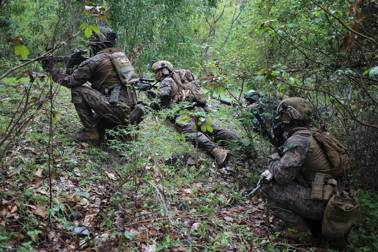 Uniformed military personnel with rifles operate in a heavily wooded jungle environment.