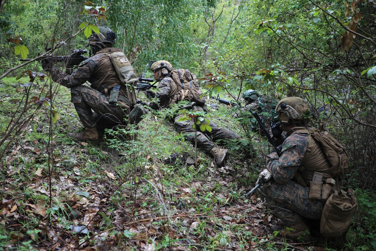 Uniformed military personnel with rifles operate in a heavily wooded jungle environment.