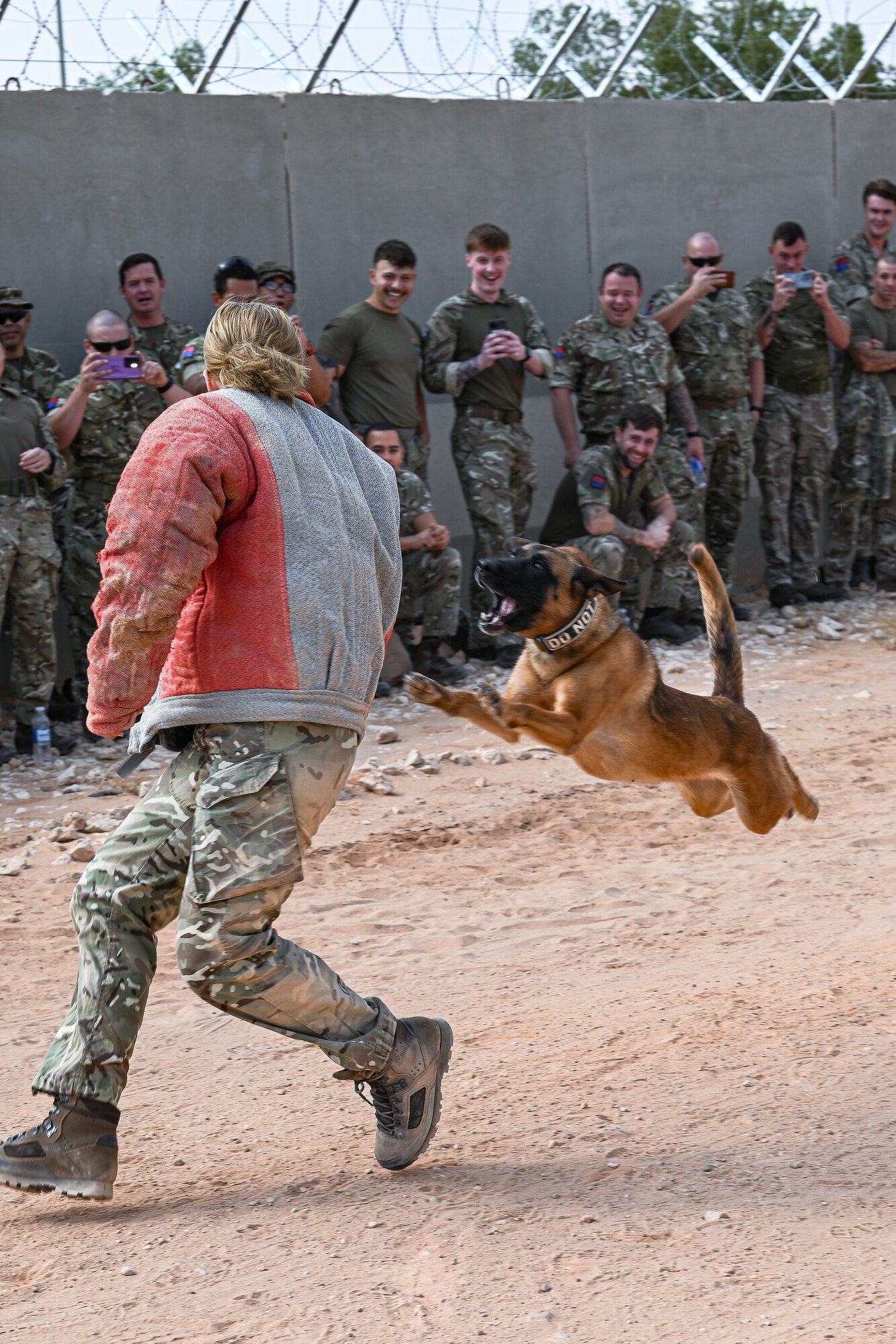 U.S. Air Force Airmen assigned to the U.S. Central Command Area of Responsibility conduct a K-9 demonstration with British Army personnel.