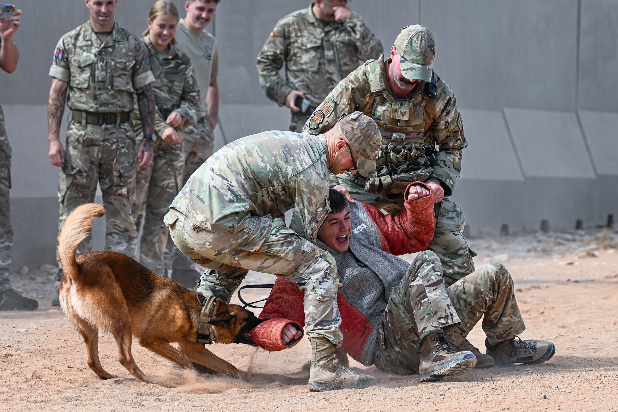 U.S. Air Force Airmen assigned to the U.S. Central Command Area of Responsibility conduct a K-9 demonstration with British Army personnel.