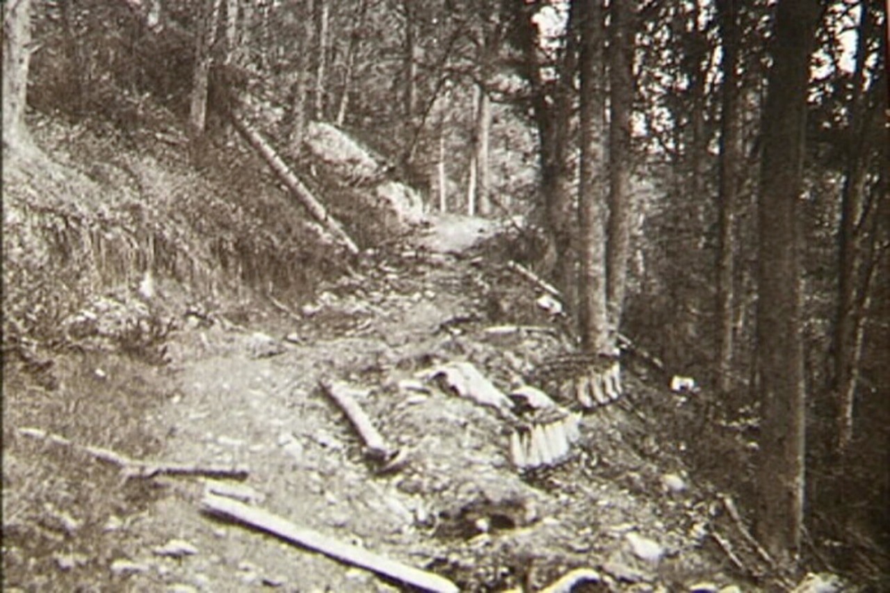 A small, zigzagging uphill trail cuts through a forest.