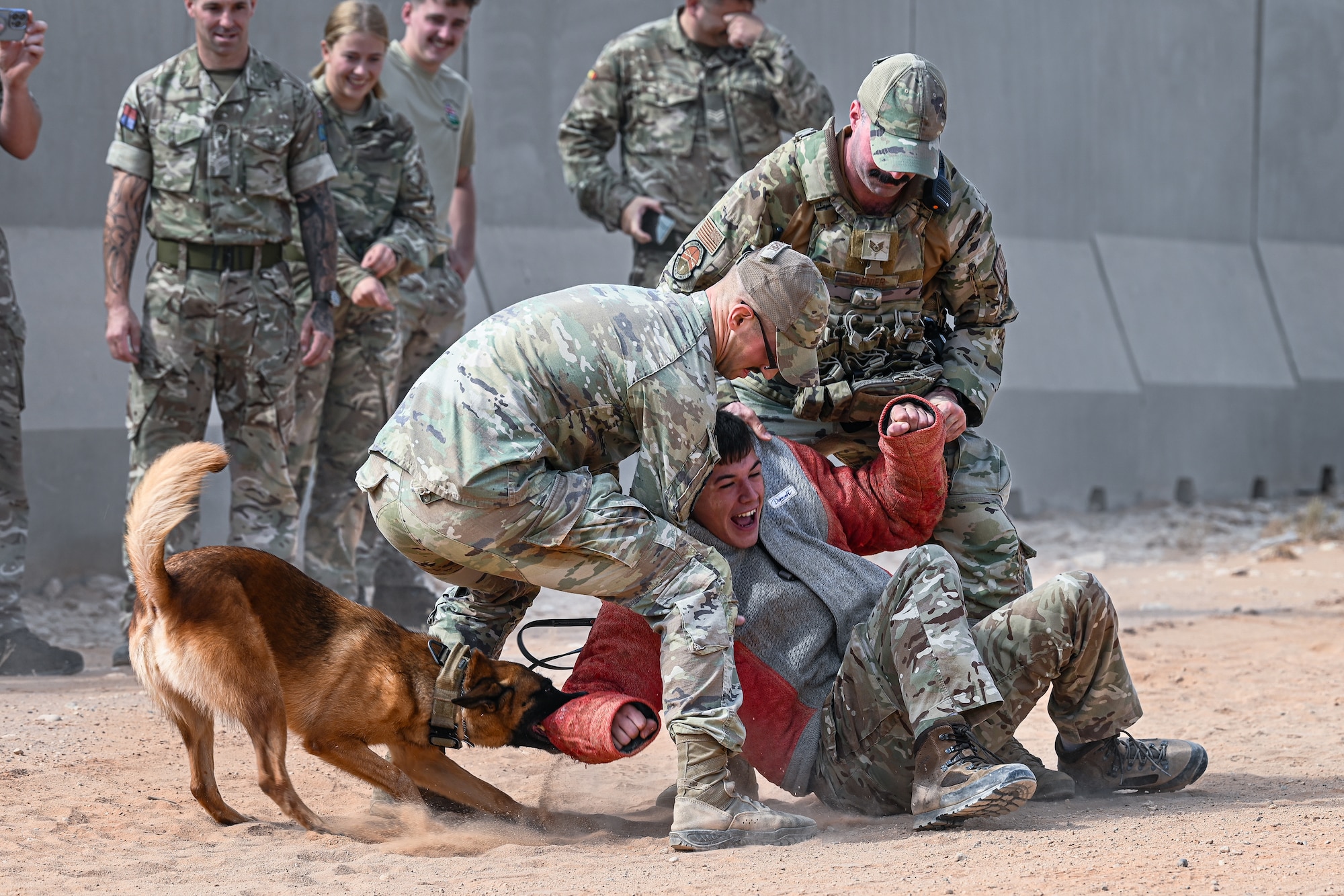 U.S. Air Force Airmen assigned to the U.S. Central Command Area of Responsibility conduct a K-9 demonstration with British Army personnel.