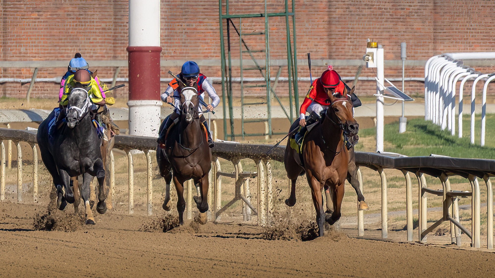 Halina’s Forte, right, a 2-year-old filly, charges down the stretch with jockey Martin Garcia aboard during the 5th race at Churchill Downs Racetrack in Louisville, Ky., Nov. 5, 2023. The 5 1/2-furlong maiden contest, dubbed the Race for Survivors of the Fallen Military Heroes, was held in honor of family members who've lost loved ones in service to the United States. It was part of Survivor’s Day at the Races, an annual event hosted with assistance from the Kentucky National Guard that drew more than 700 family members from 18 states. (U.S. Air National Guard photo by Dale Greer)