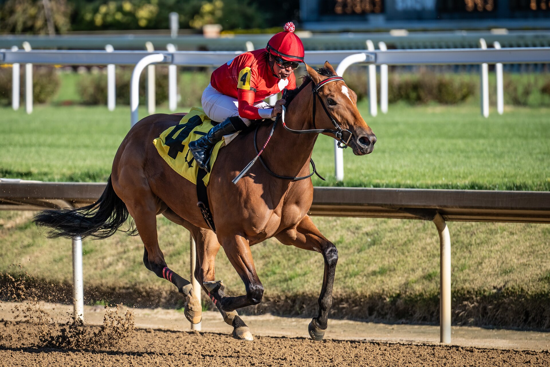 Halina’s Forte, a 2-year-old filly, charges to victory unchallenged with jockey Martin Garcia aboard during the 5th race at Churchill Downs Racetrack in Louisville, Ky., Nov. 5, 2023. The 5 1/2-furlong maiden contest, dubbed the Race for Survivors of the Fallen Military Heroes, was held in honor of family members who've lost loved ones in service to the United States. It was part of Survivor’s Day at the Races, an annual event hosted with assistance from the Kentucky National Guard that drew more than 700 family members from 18 states. (U.S. Air National Guard photo bay Dale Greer)