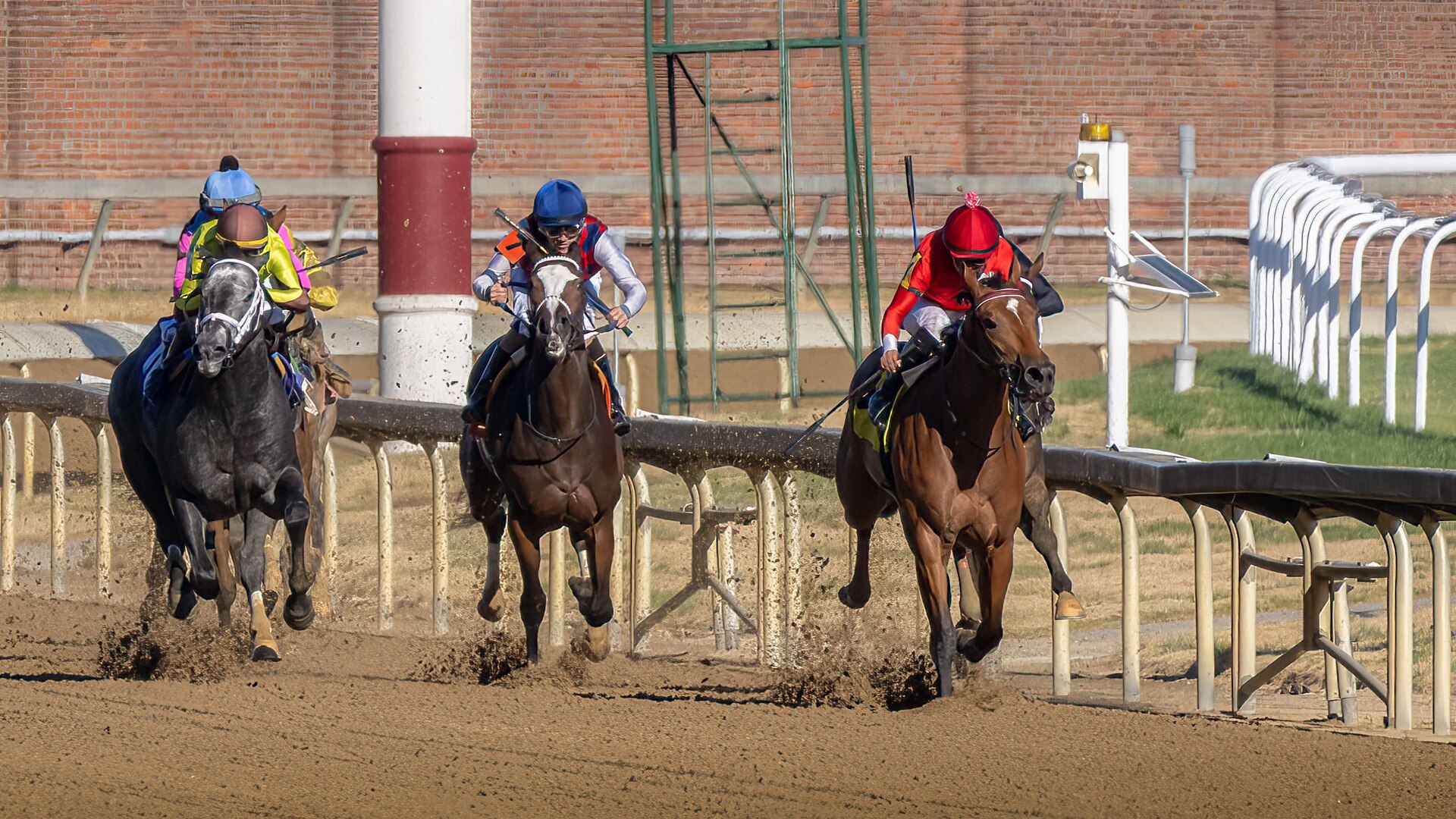 Halina’s Forte, right, a 2-year-old filly, charges down the stretch with jockey Martin Garcia aboard during the 5th race at Churchill Downs Racetrack in Louisville, Ky., Nov. 5, 2023. The 5 1/2-furlong maiden contest, dubbed the Race for Survivors of the Fallen Military Heroes, was held in honor of family members who've lost loved ones in service to the United States. It was part of Survivor’s Day at the Races, an annual event hosted with assistance from the Kentucky National Guard that drew more than 700 family members from 18 states. (U.S. Air National Guard photo bay Dale Greer)