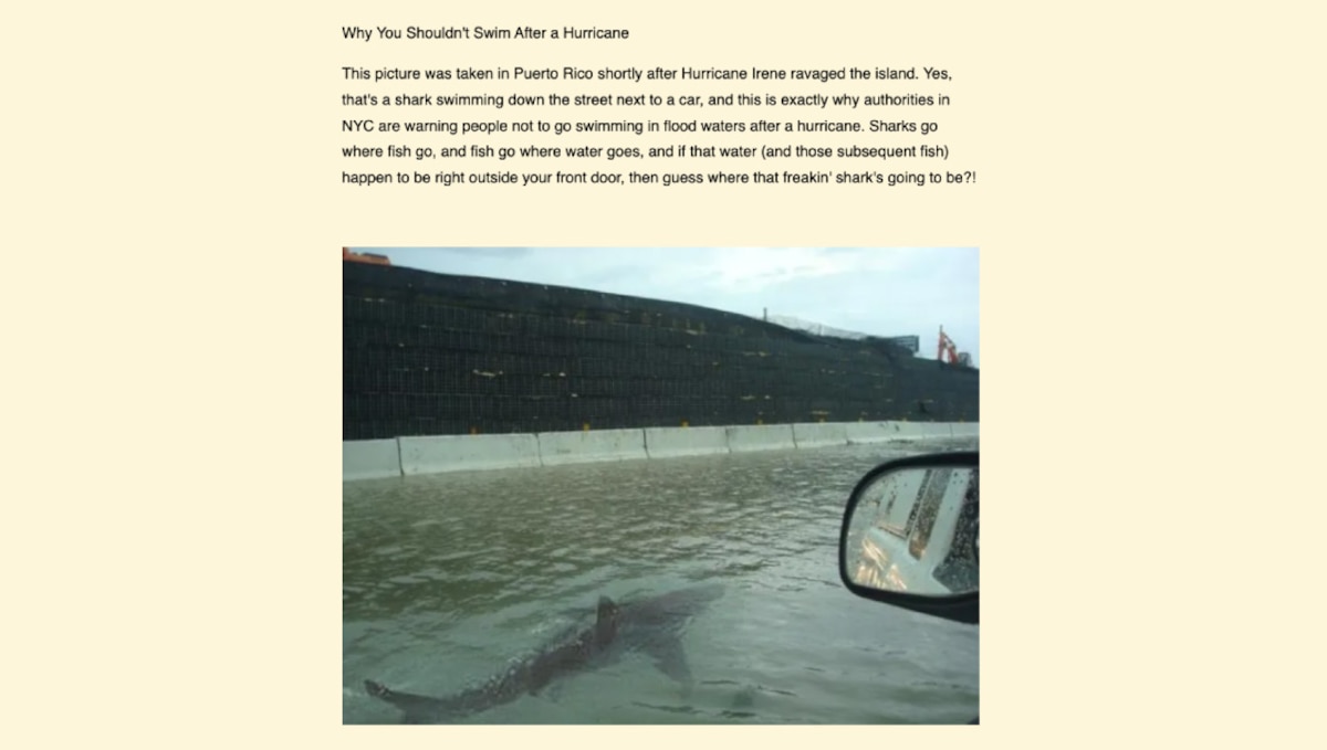 Screen shot of a doctored photo from the internet of a shark swimming in a flooded roadway appearing to be taken from inside a car. The accompanying text reads, "Why You Shouldn't Swim After a Hurricane. This picture was taken in Puerto Rico shortly after Hurricane Irene ravaged the island. Yes, that's a shark swimming down the street next to a car, and this is exactly why authorities in NYC are warning people not to go swimming in flood waters after a hurricane. Sharks go where fish go, and fish go where water goes, and if that water (and those subsequent fish) happen to be right outside your front door, then guess where that freakin' shark's going to be?!"