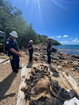 Coast Guard local and Atlantic Strike Team personnel oversee clean-up efforts being conducted by Virgin Islands Water and Power Authority oil spill removal crews at Lindbergh Bay in St. Thomas, U.S. Virgin Islands, Nov. 15, 2023.  Clean-up efforts continue following the tank 11 diesel discharge which occurred at the WAPA facility, Oct. 25, 2023.  (Courtesy photo)