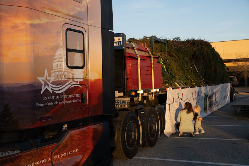 The 63-foot-tall Capitol Christmas Tree is displayed on the bed of a truck at Joint Base Andrews, Md., Nov. 16, 2023. At the end of its expedition from West Virginia, it will be displayed at the U.S. Capitol in Washington, D.C., where it will be decorated with homemade ornaments created by West Virginians. (U.S. Air Force photo by Airman 1st Class Gianluca Ciccopiedi)