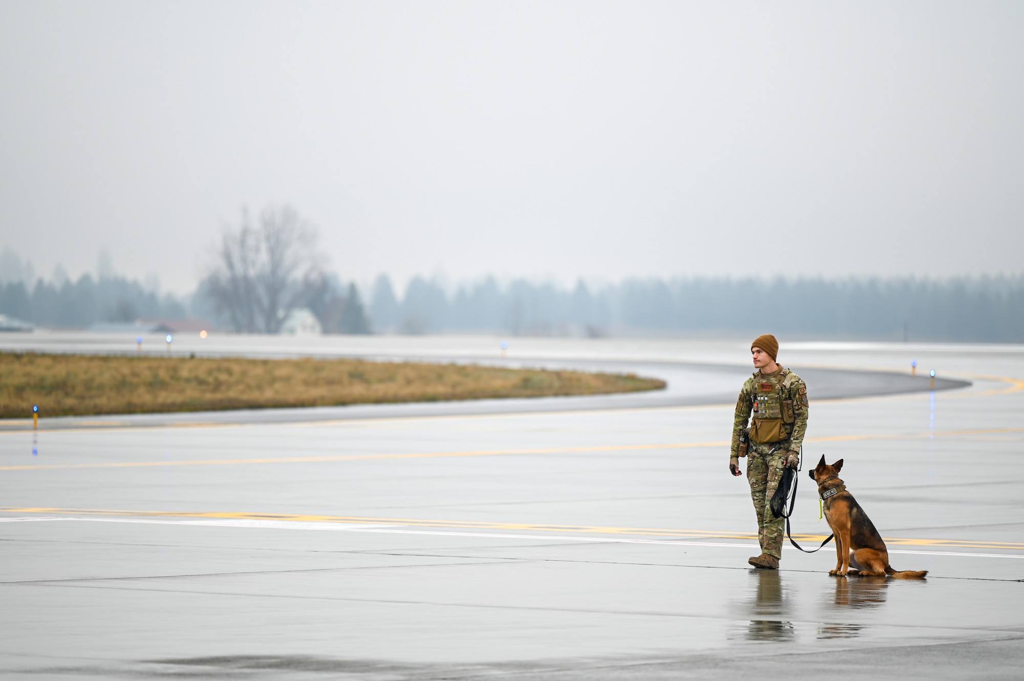 Airmen stands with a K9