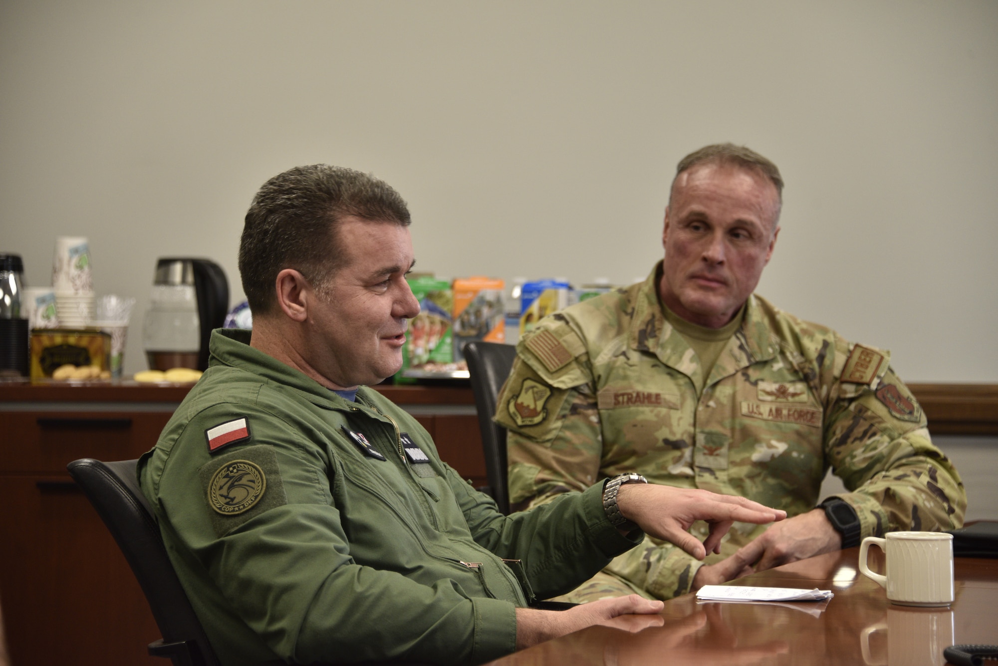 The Illinois National Guard and the Polish military are celebrating 30 years of partnership through the State Partnership Program (SPP).