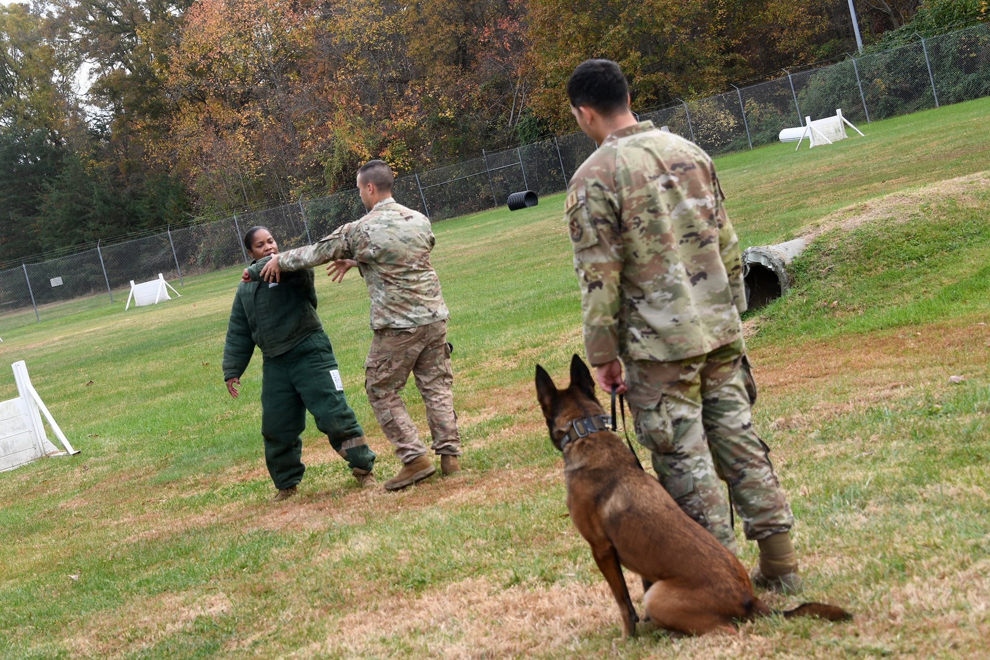 The 459th Mission Support Group Commander, Col. Vianesa Vargas, recently participated in a rite of passage for new MSG commanders with security forces under their command. She suited up in padded gear to face off against one of Joint Base Andrews' finest Military Working Dogs, 'Boss', on Nov. 15, 2023. Boss got to treat the colonel as a suspect and he apprehended her successfully on each encounter. This was an opportunity to familiarize herself with the type of training that is essential to the development and success of security forces Airmen and the JBA Working Dogs. (Air Force photo by Lt Col Timothy Smith)