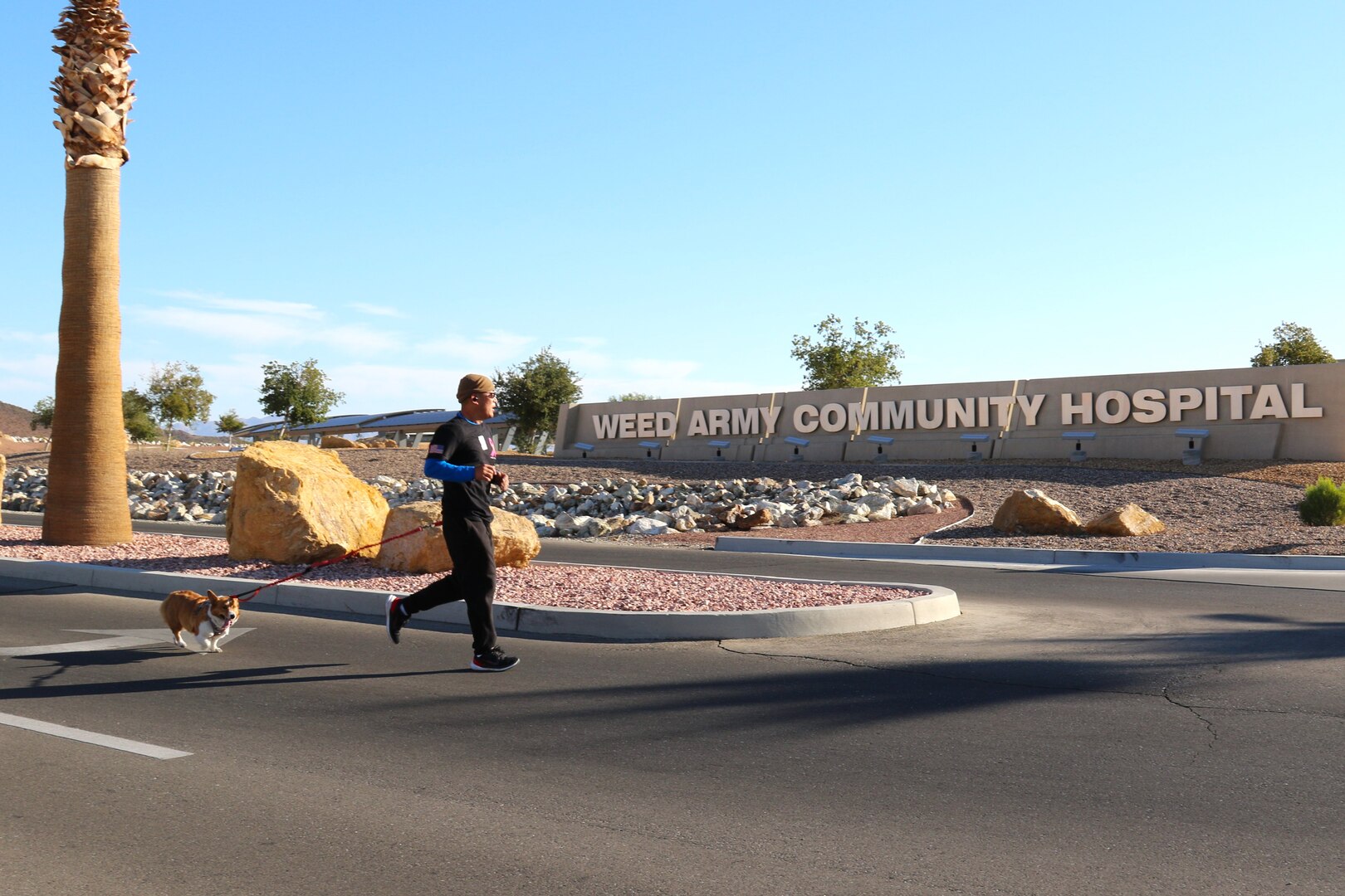 Man with dog running on a road in front of a hospital sign.