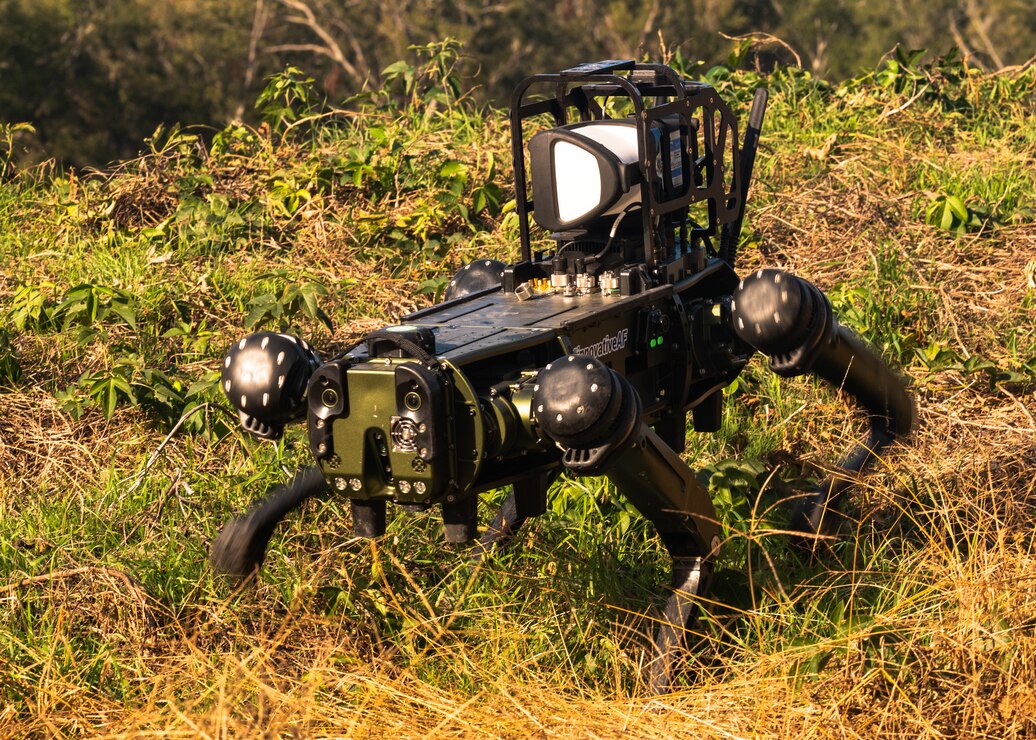 These machines, nicknamed "Robot Dogs", were created to augment manned chemical, biological, radiological, and nuclear response teams, minimizing the danger these Airmen face in hostile environments.