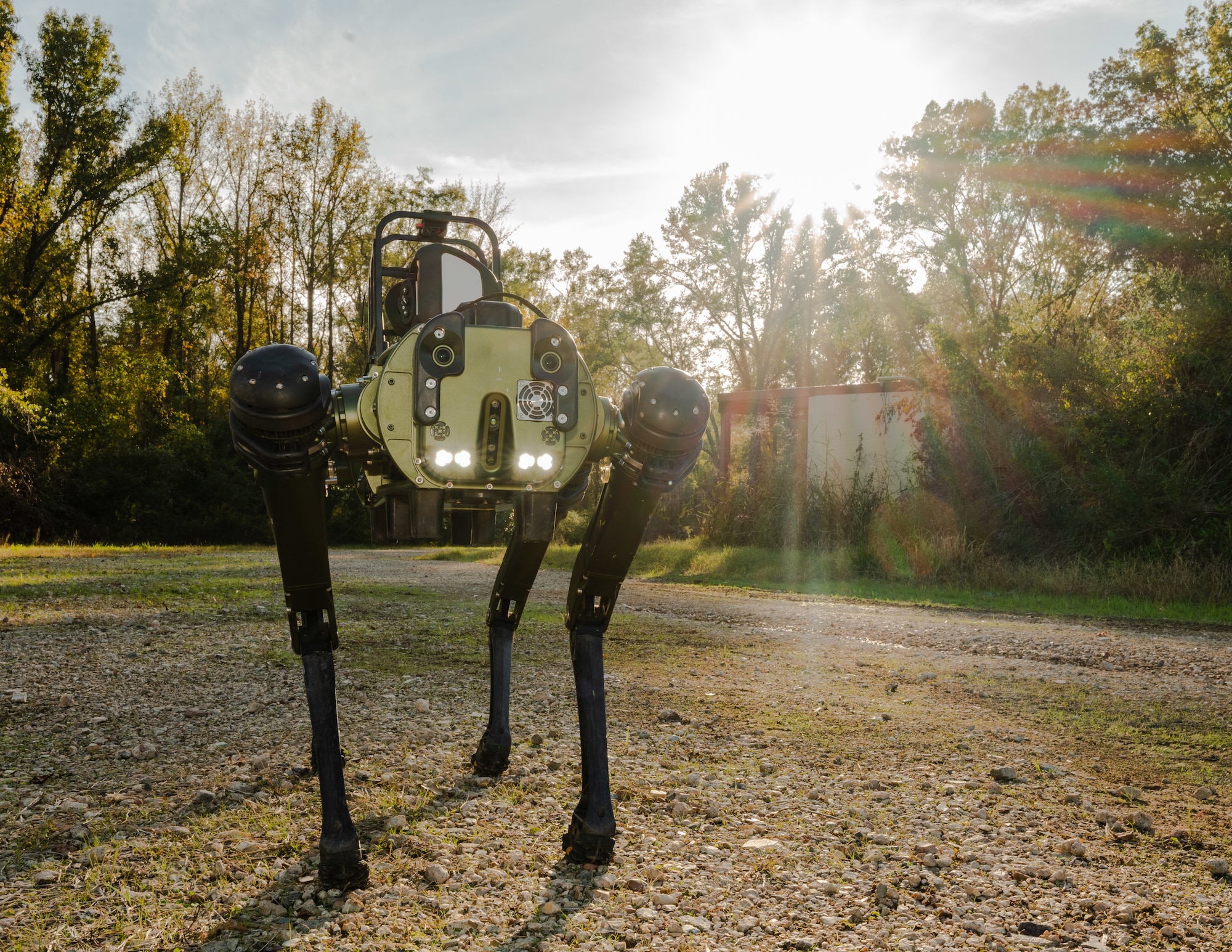 Darpa outlet dog robot