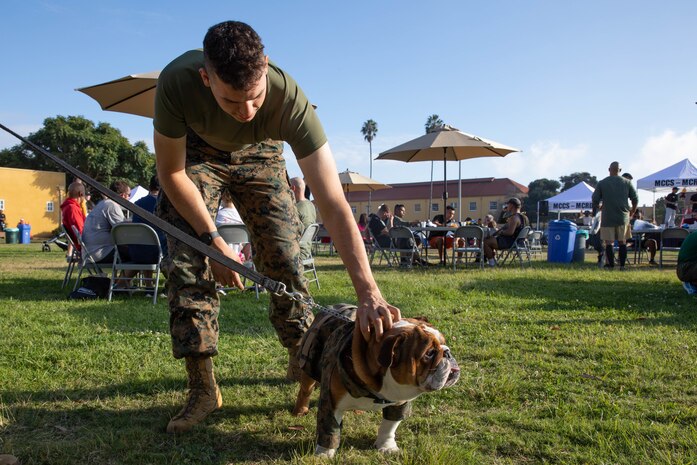U.S. Marine Corps Pfc. Bruno, the mascot of Marine Corps Recruit Depot San Diego, Western Recruiting Region spends time with Marines and families at the Turkey Trot event at Marine Corps Recruit Depot, San Diego, Nov. 15, 2023. The mascot's job is to boost morale, participate in outreach work and attend events and ceremonies. (U.S. Marine Corps photo by Lance Cpl. Sarah M. Grawcock)