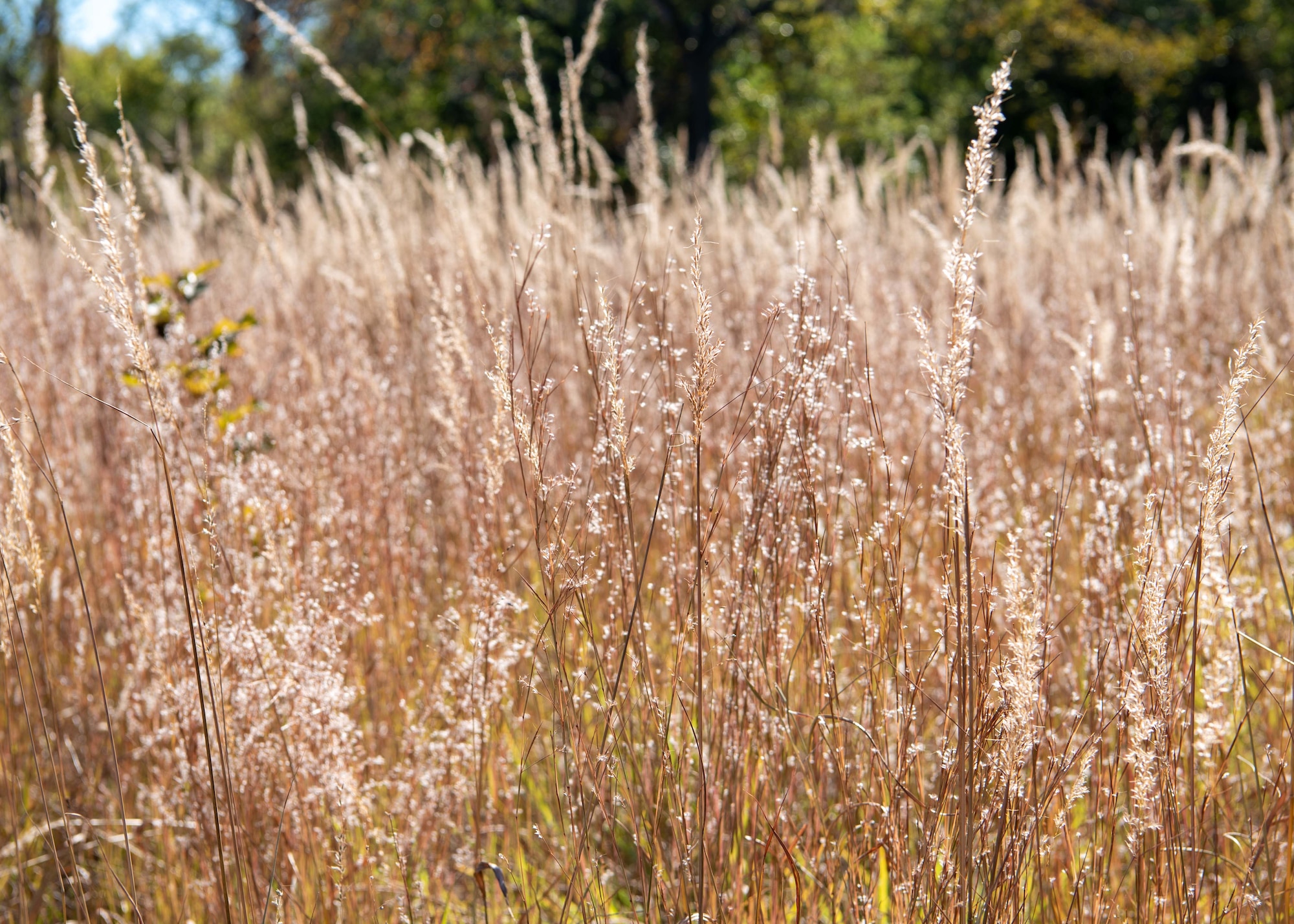 Join the Prairie Acre Club - Prairie Plains Resource Institute