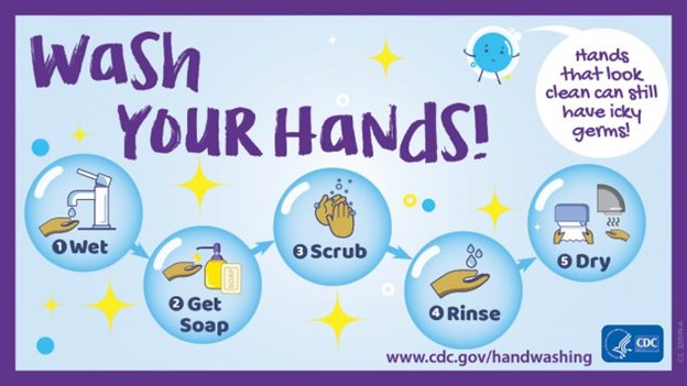 According to the World Health Organization, there are around a billion cases of seasonal influenza annually. The single most important way to prevent the spread of infection is washing your hands. (Courtesy photo from the CDC)