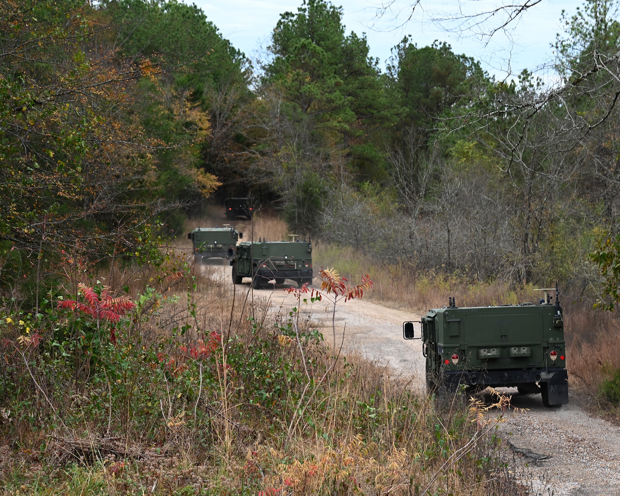 Armored vehicles drives through dense forest road.