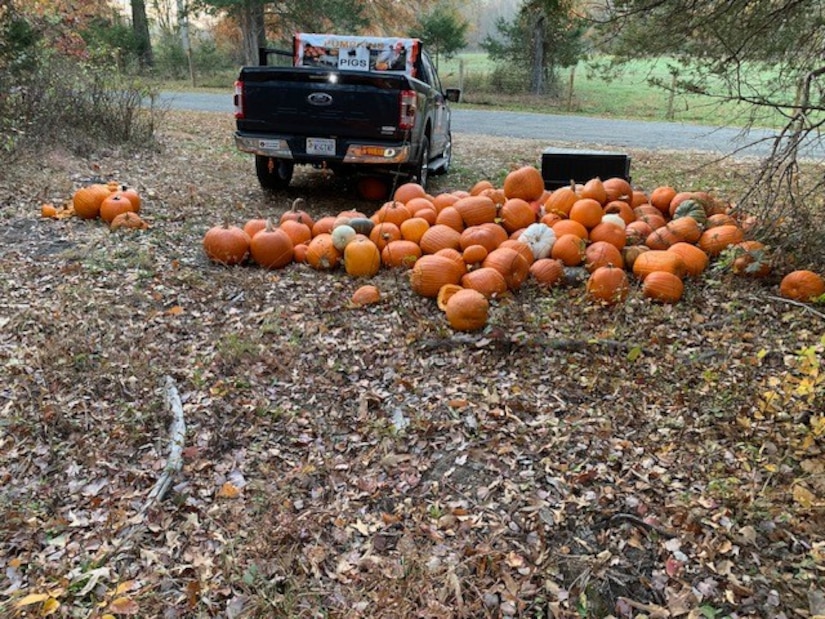 Pumpkins lay on the ground beside a pickup truck.