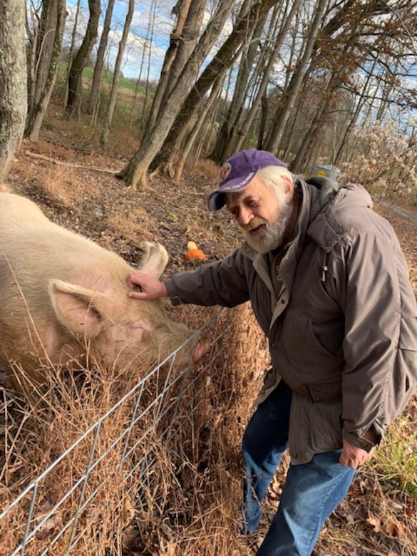 A man pets a pig across a fence with woods in the background.