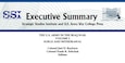 Cover for Executive Summary: The U.S. Army in the Iraq War, Vol. 2