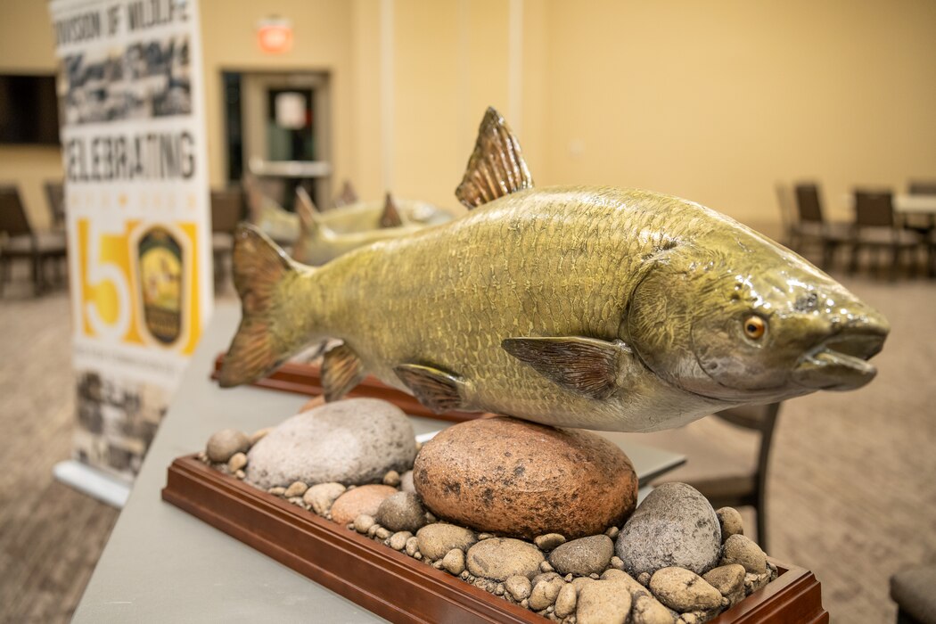 A model of a grass carp on a base of stones.