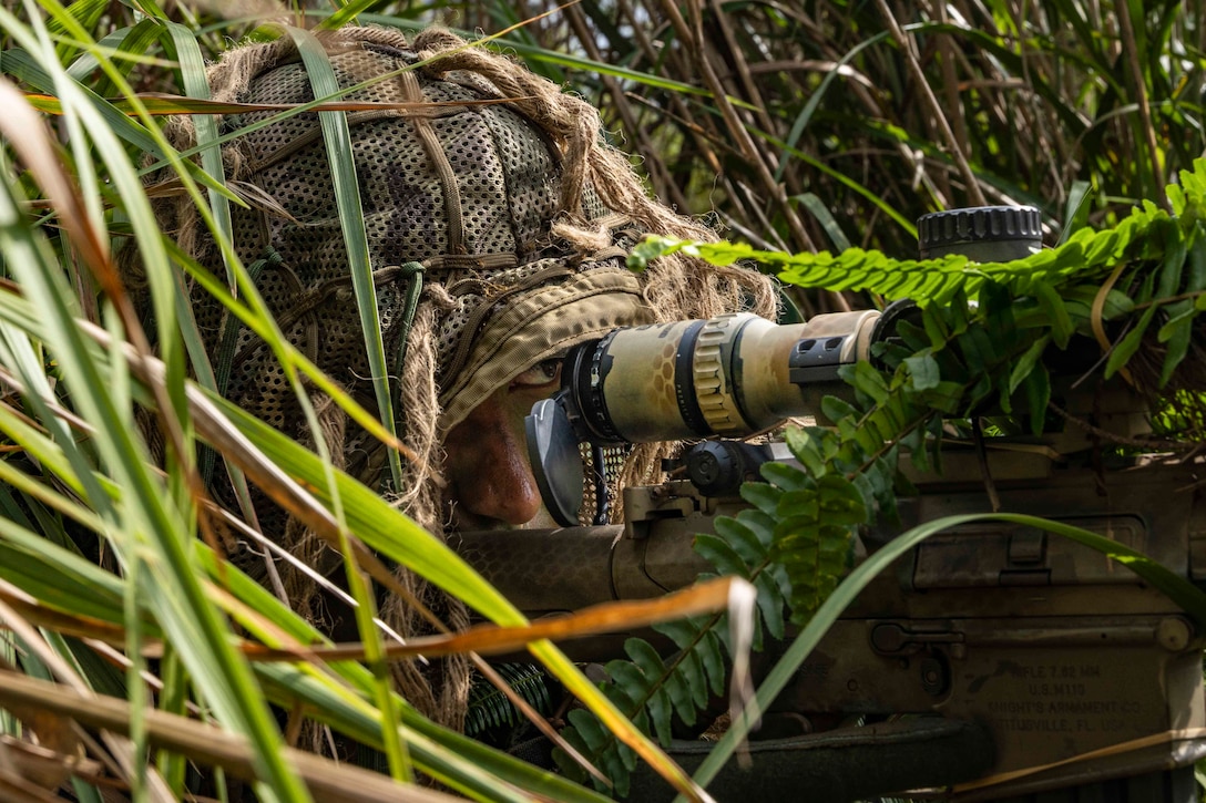 A Marine in camouflage looks through the scope of a weapon while hidden in brush.