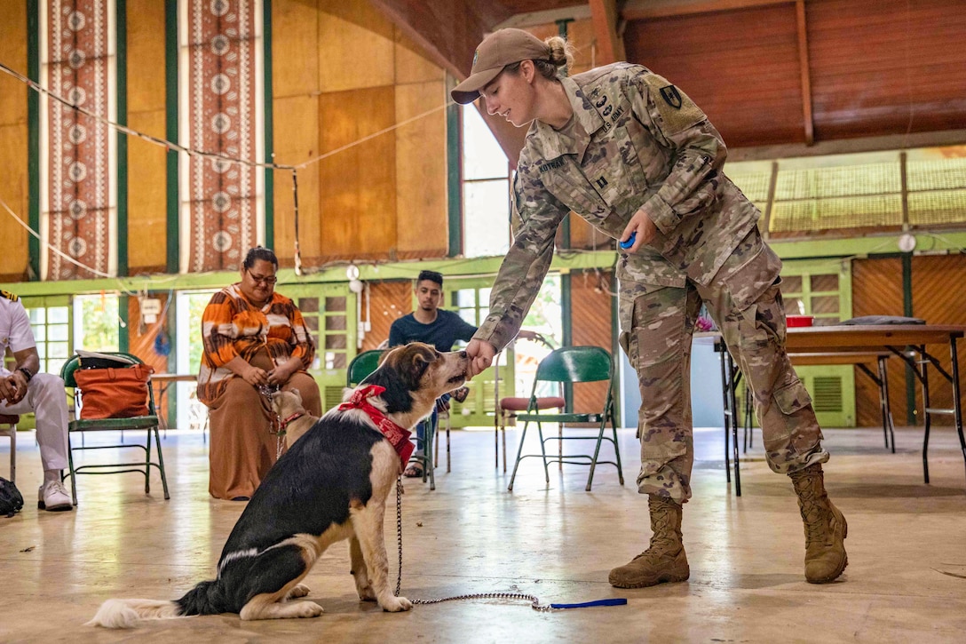 People sit in folding chairs and watch as a soldier feeds a sitting dog a treat.