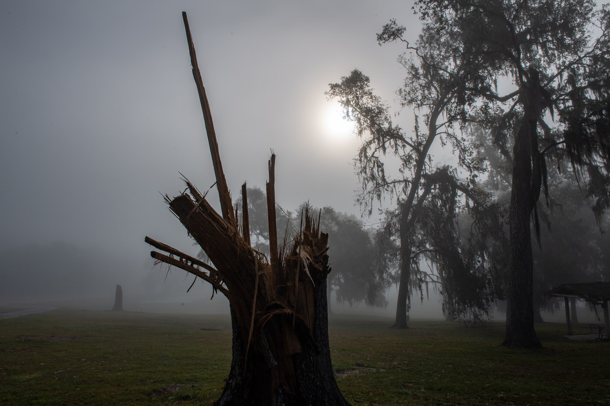 A damaged tree sits at Grassy Pond in Lake Park, Georgia, Oct. 30, 2023. The recreation area has been available to Airmen stationed at Moody Air Force Base, Georgia, since 1952. The damages sustained during Hurricane Idalia required both Lowndes County and Moody AFB to coordinate a plan for restoration. (U.S. Air Force photo by Senior Airman Courtney Sebastianelli)