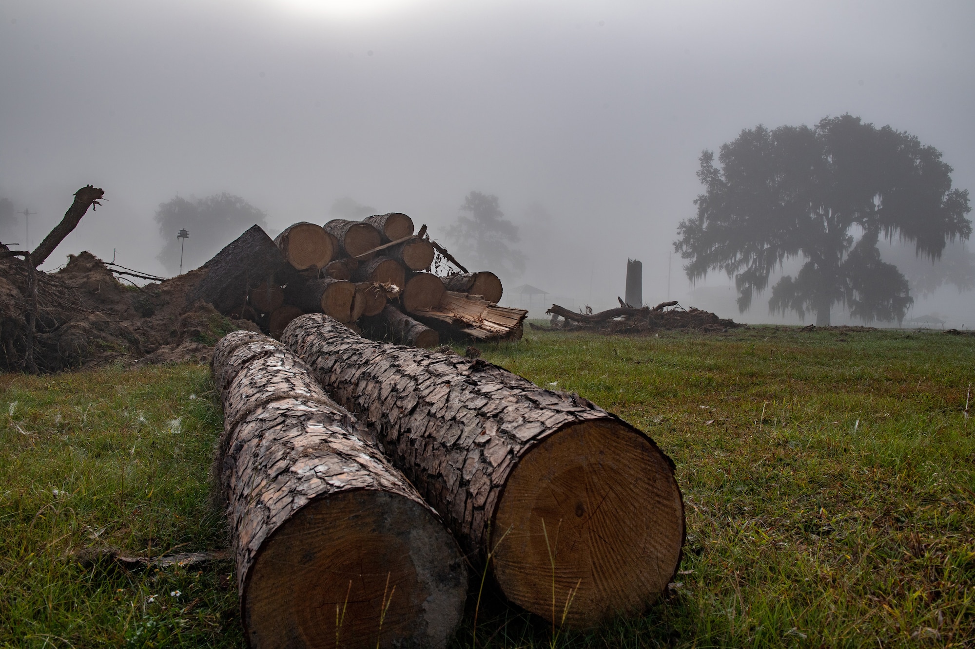 Downed trees lay in a pile at Grassy Pond in Lake Park, Georgia, Oct. 30, 2023. Hurricane Idalia hit Valdosta Aug. 30, 2023, and damaged Grassy Ponds with its sustained 105 mile-per-hour winds. (U.S. Air Force photo by Senior Airman Courtney Sebastianelli)