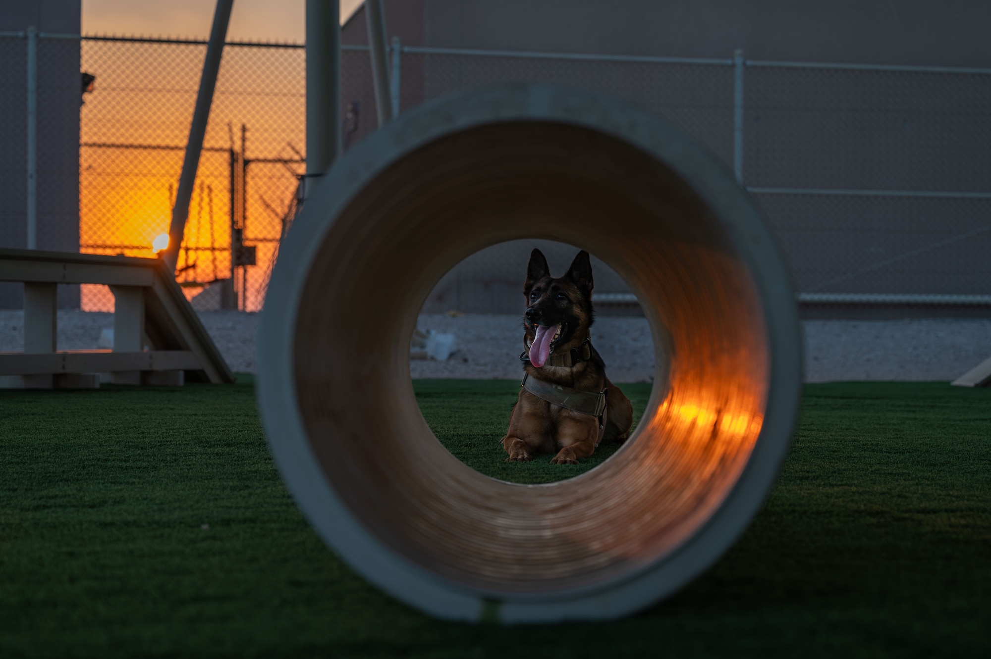 ESFS MWD remain deployment ready U.S. Air Forces Central News