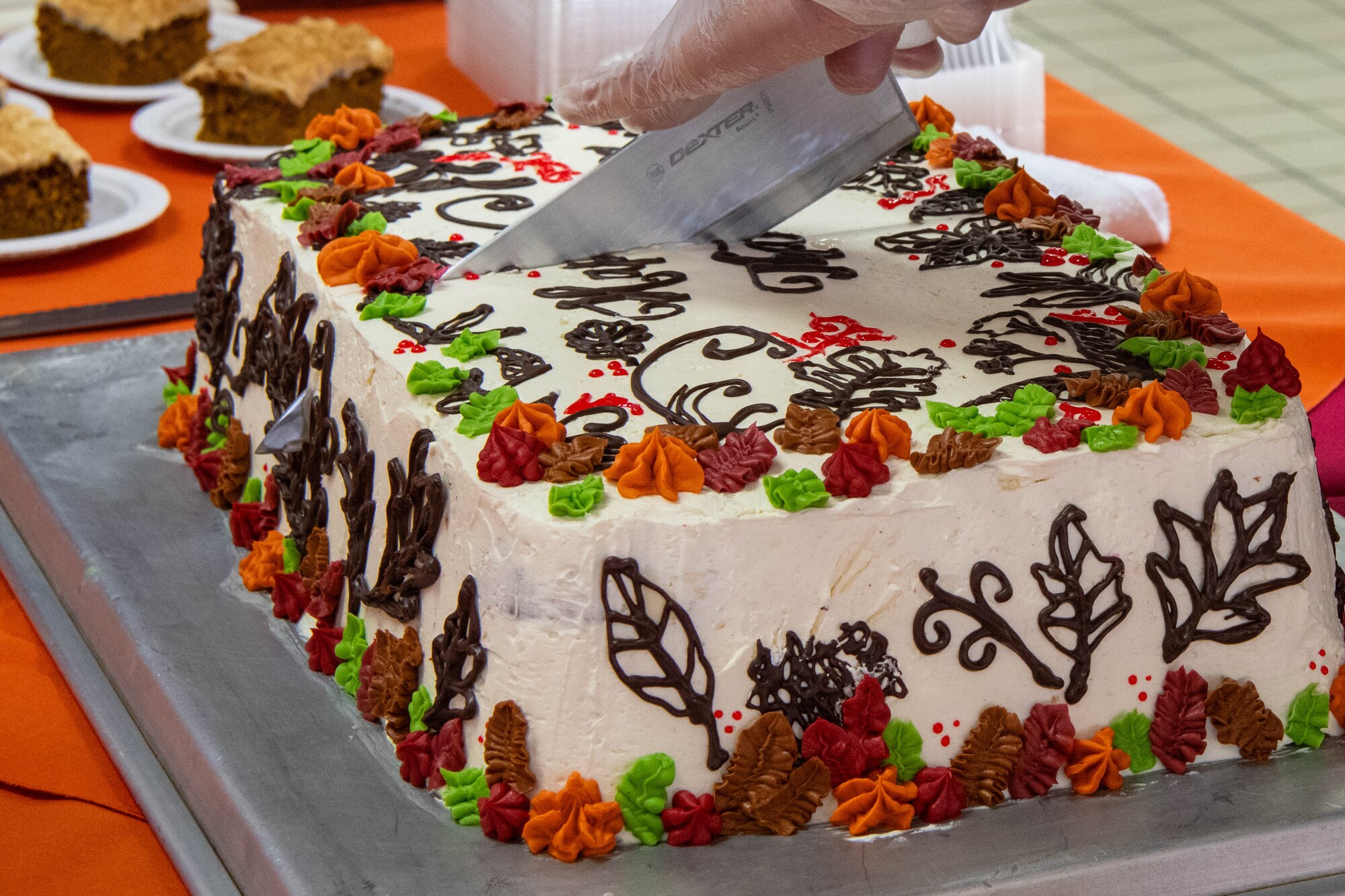 Person cuts into a cake.
