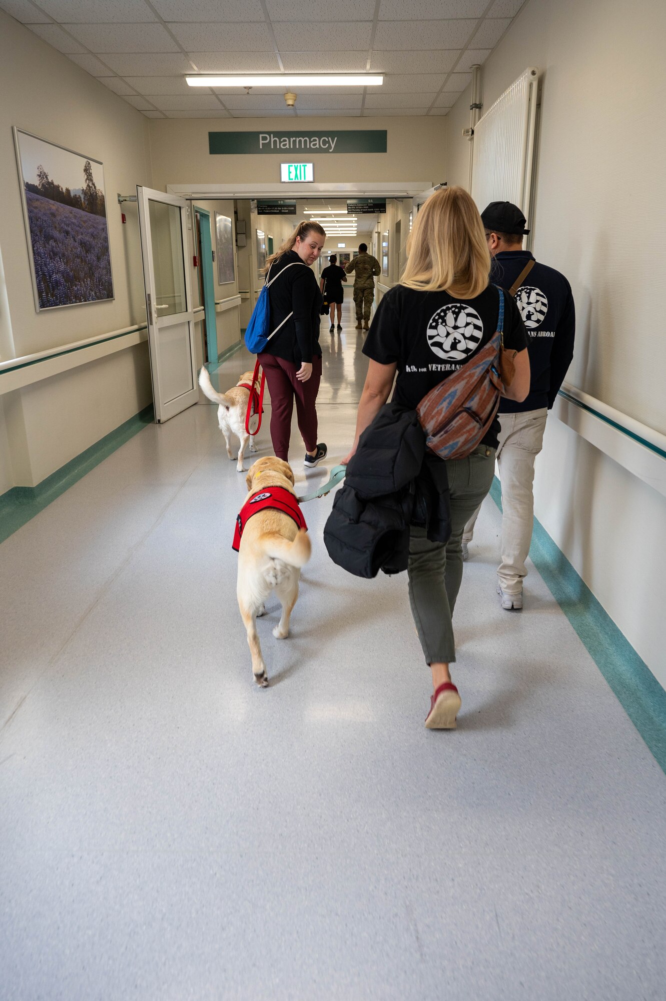 Volunteers and dogs walk down hallway.