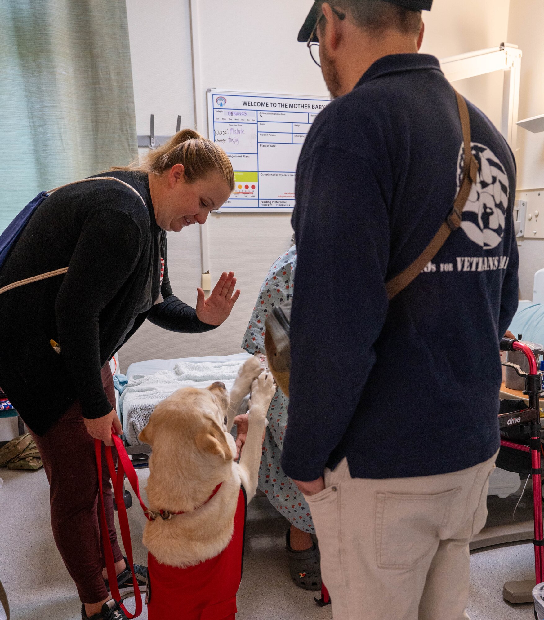 Service dog gives high five to patient.