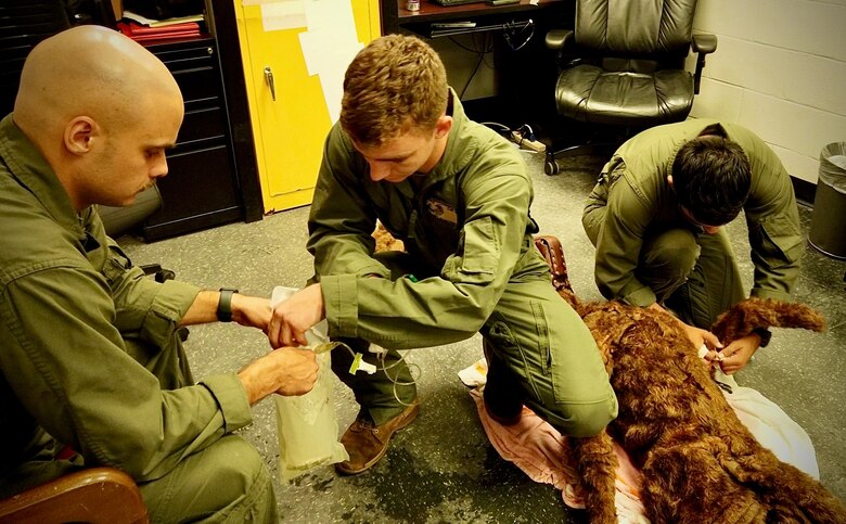 The robotic training dog named “Fitz” after Col. Michael Fitzgerald, former commanding officer of Marine Corps Logistics Base Albany, is utilized by military working dog handlers on the installation. Fitz can bark, whine and be used to practice various emergency scenarios. The nearest emergency veterinarian is a considerable distance away from MCLB Albany, so the handlers are effectively the first responders when their MWDs are injured or ill. (U.S. Marine Corps photo by Jonathan Wright)