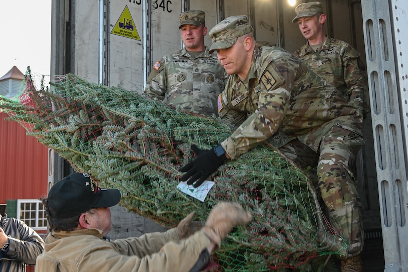 A volunteer passes a tree to a solider in a truck.