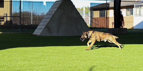 MWD new facility