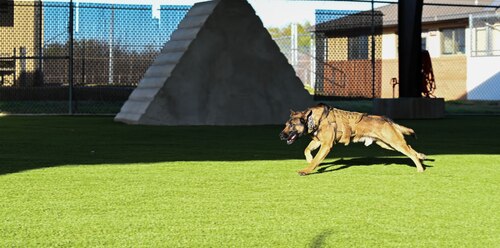 MWD new facility