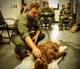 The robotic training dog named “Fitz” after Col. Michael Fitzgerald, former commanding officer of Marine Corps Logistics Base Albany, is utilized by military working dog handlers on the installation. Fitz can bark, whine and be used to practice various emergency scenarios. The nearest emergency veterinarian is a considerable distance away from MCLB Albany, so the handlers are effectively the first responders when their MWDs are injured or ill. (U.S. Marine Corps photo by Jonathan Wright)
