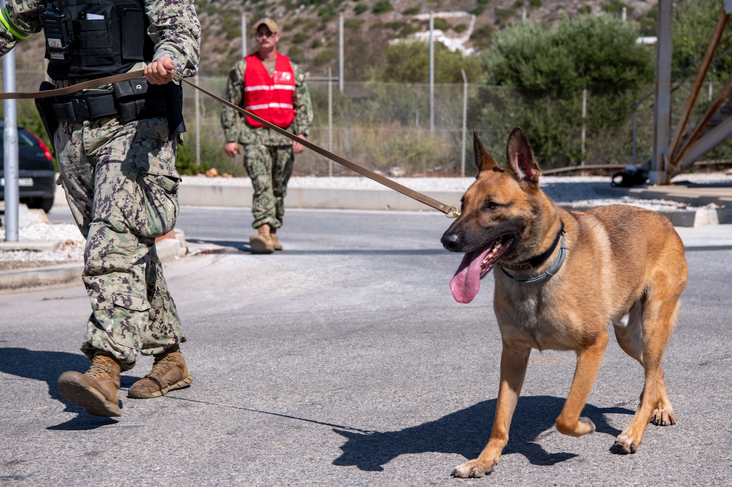 Master-at-Arms 2nd Class Kaile Oyler and Military Working Dog Drake, assigned to Naval Support Activity Souda Bay, Greece, perform a security sweep during a Region Training Assist Visit onboard NSA Souda Bay on Sept. 21, 2023.