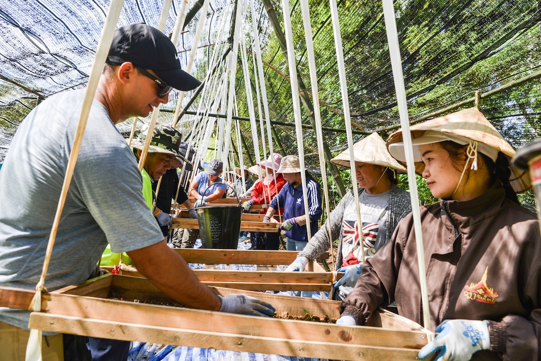 A group of people use graters to sift dirt.