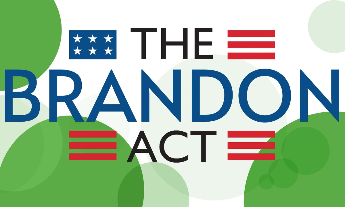 The Brandon Act graphic