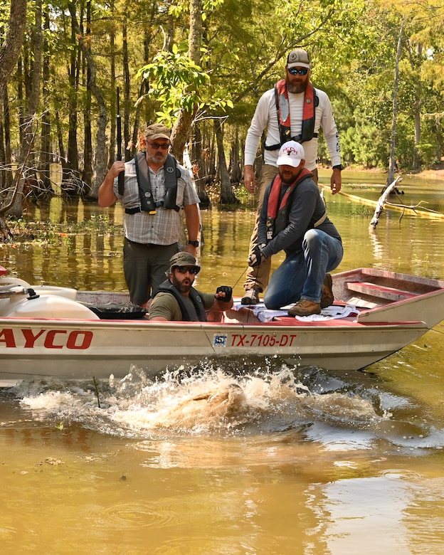 Gator hunt