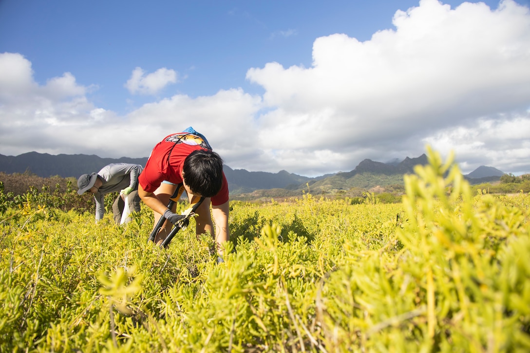 U.S. Marine Corps Sgt. Miku Stone, right, a native of Waco, Texas, with Marine Corps Forces Pacific Band, and Kevin Szachura, community volunteer remove trash during the Puha stream edge and Bellows beach cleanup near Marine Corps Training Area Bellows, Marine Corps Base Hawaii, Sept. 23, 2023. Service members and civilians volunteered to remove trash and invasive plant species from the area as part of National Public Lands Day. (U.S. Marine Corps photo by Sgt. Julian Elliott-Drouin)