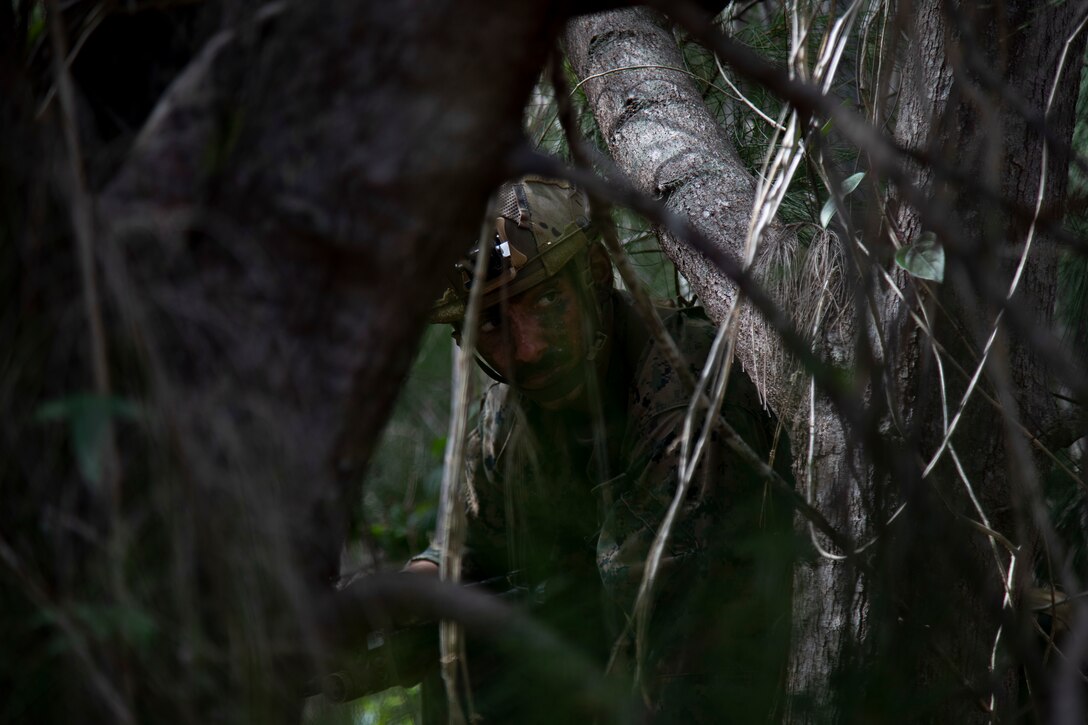 A U.S. Marine with Advanced Infantry Training Battalion, School of Infantry-West, Hawaii Detachment, scans his surroundings while on a patrol during an Advanced Infantry Marine Course, Kahuku Training Area, Hawaii, June 27, 2023. AIMC is advanced infantry training designed to enhance and test Marines’ skills with a focus on reinforcing proper patrols and operational procedures. (U.S. Marine Corps photo by Lance Cpl. Terry Stennett III)