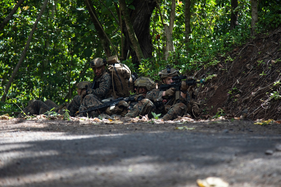 U.S. Marines with Advanced Infantry Training Battalion, School of Infantry-West, Hawaii Detachment, post security while on a patrol during an Advanced Infantry Marine Course, Kahuku Training Area, Hawaii, June 26, 2023. AIMC is advanced infantry training designed to enhance and test Marines’ skills with a focus on reinforcing proper patrols and operational procedures. (U.S. Marine Corps photo by Lance Cpl. Terry Stennett III)