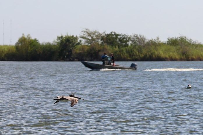 The project stretches along both sides of the Trinity River and both north and south of Interstate Highway 10 about halfway between Houston and Beaumont, Texas. Much of the Project is accessible by boat from boat launch facilities at Hugo Point Park (Gou Hole Road off FM 565 south from I-10), Trinity River Island Recreation Area (the Project Office area just south of I-10 on Lock and Dam Road from exits 806 and 807), under the high bridge over the Trinity River (accessed from the Trinity River Boat Ramp Turnaround off I-10), and a hand-launch canoe/kayak area at Cedar Hill Park (from I-10 take FM 563 north to Lake Charlotte Road west to the park).